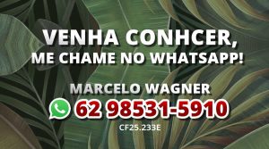 Marcelo Wagner Corretor - Bosque Garavelo