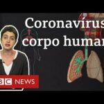 Coronavírus: O que a covid-19 faz com o seu corpo?