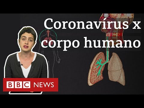 Coronavírus: O que a covid-19 faz com o seu corpo?