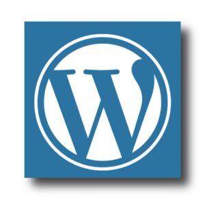 escolher o melhor tema para seu site WordPress